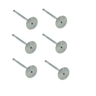 6 Pcs Valve Intake for Cummins 4B 6B 4BT 6BT Engine in USA