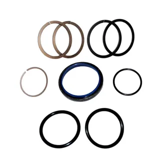 Adjuster Seal Kit 102-8109 for Caterpillar CAT 320 320B 322 322B 325 325B 322C 1090 1190 1390 2290 TK721 TK722 TK741