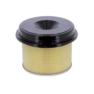 Aftermarket Donaldson P771510 Air Filter for Mercedes-Benz Engine OM366LA OM422 OM356A 1980-1994 Truck 1222 1417 1420 1422 1425 1614