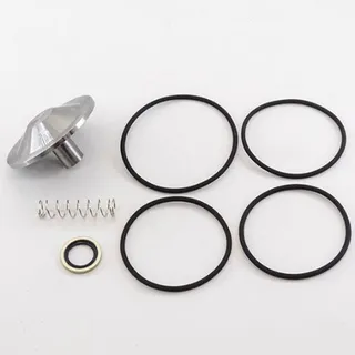 Air Compressor Ga50 VSD Aftermarket Parts Repair Kit Check Valve Kit 2901050300 for Atlas Copco