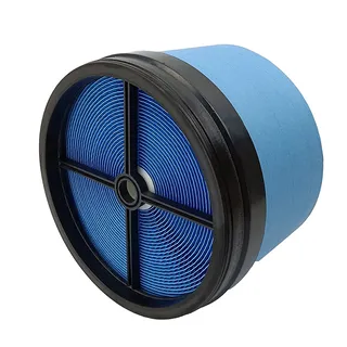 Air Filter P040365 for Donaldson