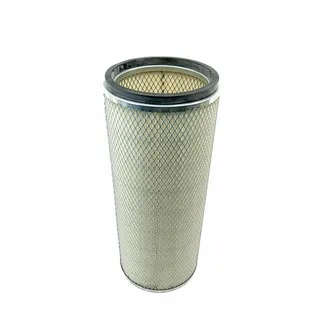 Air Filter P124860 for Donaldson