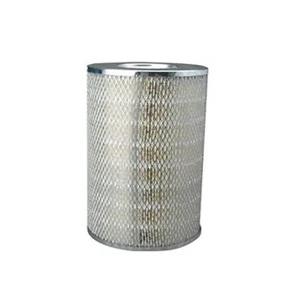Air Filter P181034 for Donaldson