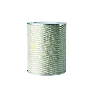 Air Filter P181056 for Donaldson