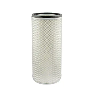 Air Filter P500941 for Donaldson