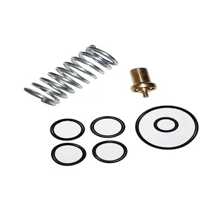 Air Compressor Chicago Pneumatic Service kit Thermostatic Valve Kit 2205490591 for Atlas Copco