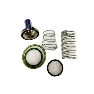 Air Compressor Parts Minimum Pressure Valve Repair Kit 1625170482 for Bolaite