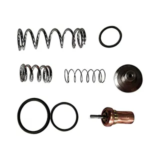 Air Compressor Thermostatic Minimum Pressure Valve Repair Kit 2901109500 for Atlas Copco