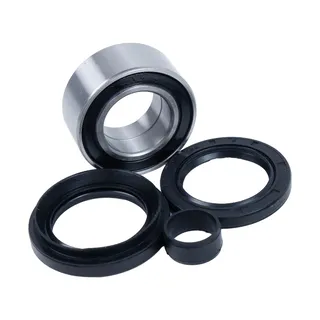 All Balls Racing Wheel Bearing Kit 25-1005 for Honda ATV 1998-2004 TRX450FE Foreman TRX450FM Foreman 2001-2004 TRX500FA Rubicon