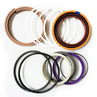 Arm Cylinder Seal Kit 0875387 for Caterpillar CAT 322L 320 Excavator 3116 Engine