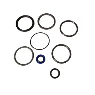 Arm Cylinder Kit 9180579 for John Deere 270CLC 270LC 2054 2554