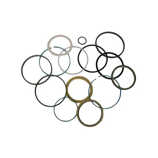 Arm Cylinder Seal Kit 4206019 For Hitachi EX200 EX200K