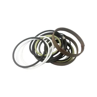 Arm Cylinder Seal Kit 4217003 For Hitachi EX60