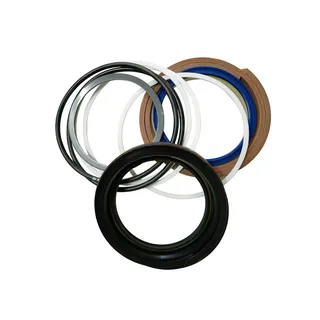 Arm Cylinder Seal Kit 4634032 for Hitachi ZX22U-2 ZX30U-2 ZX30UR-2 ZX30UR-3 ZX35U-2 ZX35U-3 ZX40UR-2 ZX40UR-2D ZX55UR-2 ZX55UR-2D