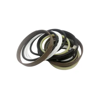 Arm Cylinder Seal Kit For DAEWOO DH258-7