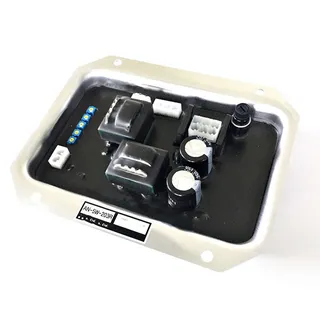 AVR AN-5W-203R AN5W203R for Denyo