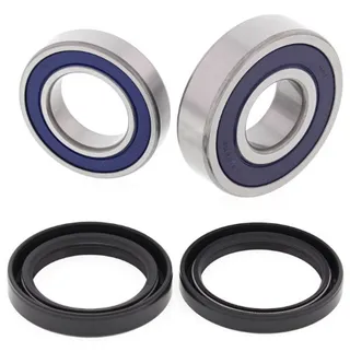 Bearing Kit 25-1689 for Honda ATV 2014-2022 TRX420 2014-2019 TRX500FE 2020-2022 TRX520FE