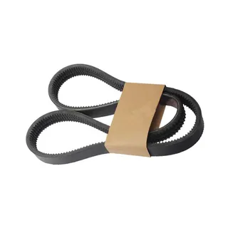 Belt 4989980 for Cummins Engine