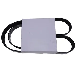 Belt 8pk1443 for Cummins 4BT 6BT 6CT 6LTA Engine