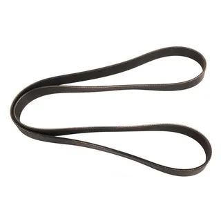 Belt 8PK2020 for Ford F-150 2004 Heritage F-250 1997-1999