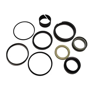 Boom Cylinder Seal Kit G105547 for CASE 580B 580C 580F 850B 850C 855C 35A 35WL