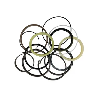 Boom Cylinder Seal Kit 4206018 For Hitachi EX200-1 EX200 EX200LC