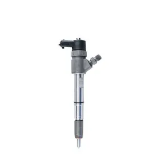 Bosch Fuel Injector 0445110481 0445110380 0445110462