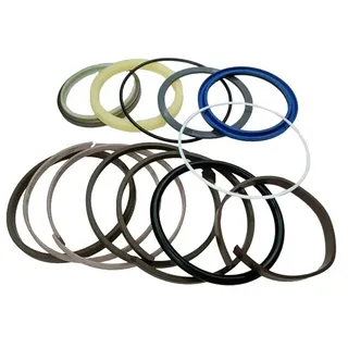 Bucket Cylinder Seal Kit 4216263 for Hitachi Excavator EX150 EX160WD RX2000 EX150-1
