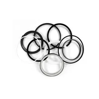 Bucket Cylinder Seal Kit 4448397 For Hitachi ZX120