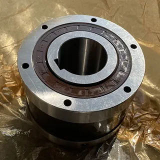 Cam Clutch F343BA-70A for Tsubaki Transmission