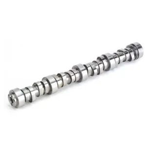 Camshaft 21110437 for Volvo D13 Engine B13R FH Truck