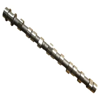 Camshaft 24100 42200 for Hyundai D4BF Engine