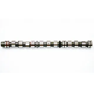 Camshaft 3100363 for Cummins Engine QSX15
