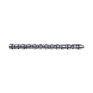 Camshaft 3895801 for Cummins Engine L10