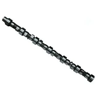 Camshaft 3923478 for Cummins 6CT Engine