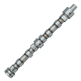 Camshaft for Hino W06D Engine