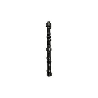Camshaft 13001-60K00 for Nissan H20 Engine