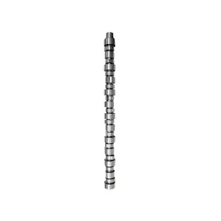 Camshaft 3031461 for Cummins Engine L10