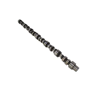 Camshaft 4067667 for Cummins K19 Engine