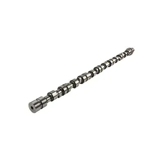 Camshaft 4914522 for Cummins NT855 Engine