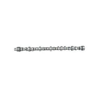 Camshaft for Hino V10C Engine
