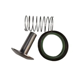 Check Valve Repair Kit 2906017700 for Atlas Copco Oil-Free Air Compressor