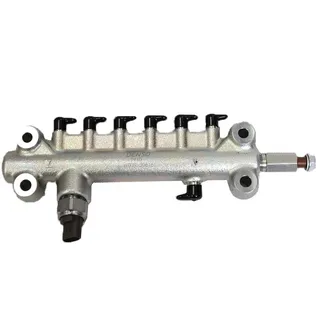 Common Rail Assembly 8-97609980-2 8976099802 for Isuzu 6HK1-TIER4 4JB1 4HK1 4HF1 4HG1 Engine NHR NPR NQR NKR Truck
