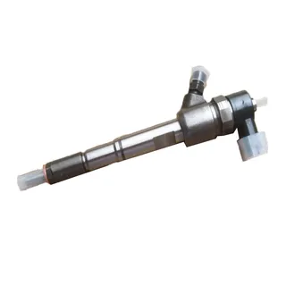 Common Rail Injector 0445110291 for Bosch BAW Fenix CA4DC2-10E3 1044 1065 Euro 3