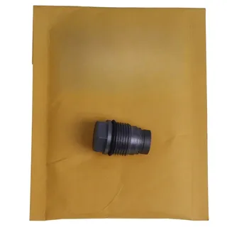 Common Rail Pressure Relief Valve Pressure Limiting Valve 1110010016 for Bosch