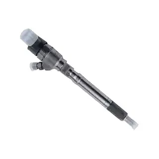 Common Rail Injector 0445110101 for Hyundai Santa Fe 2.0