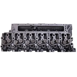 Complete Cylinder Head with Valves 3925389 3930652 3927301 for Cummins Engine 6B5.9 QSB5.9 ISB
