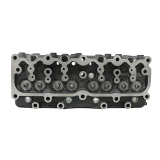 Complete Cylinder Head with Valves for Mitsubishi Engine 4D30