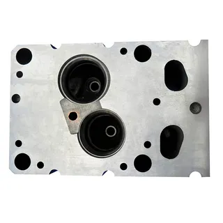 Complete Cylinder Head with Valves for Weichai Engine WD615