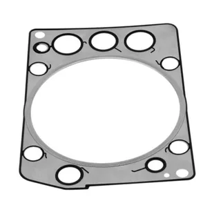 Cylinder Head Gasket 4600160120 for Mercedes-Benz ATRON AXOR CITARO CONECTO O 400 TOURISMO TOURO TRAVEGO